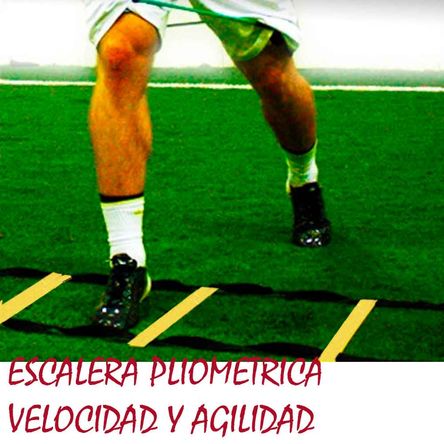 image-067d3852eff94aae9bc39c613aa34358 image-067d3852eff94aae9bc39c613aa34358