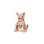 imageUrl_2