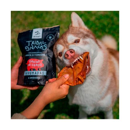 Tribal Snacks Orejas de Cerdo para Perros RYBIU IMPORT