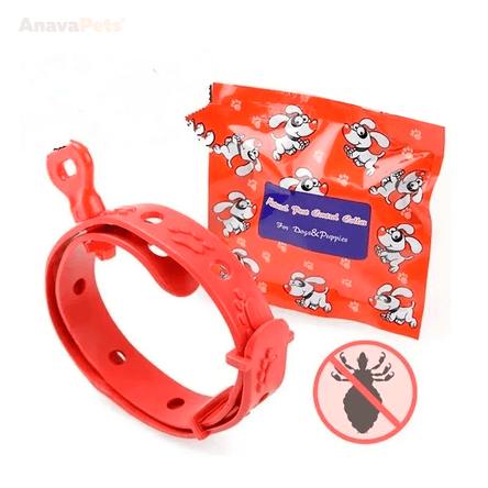 image-fd1cb5efe7a04e9eb9b84dc41b862eec image-fd1cb5efe7a04e9eb9b84dc41b862eec