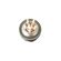 image-3600e71447b94da5bc60824838583c00
