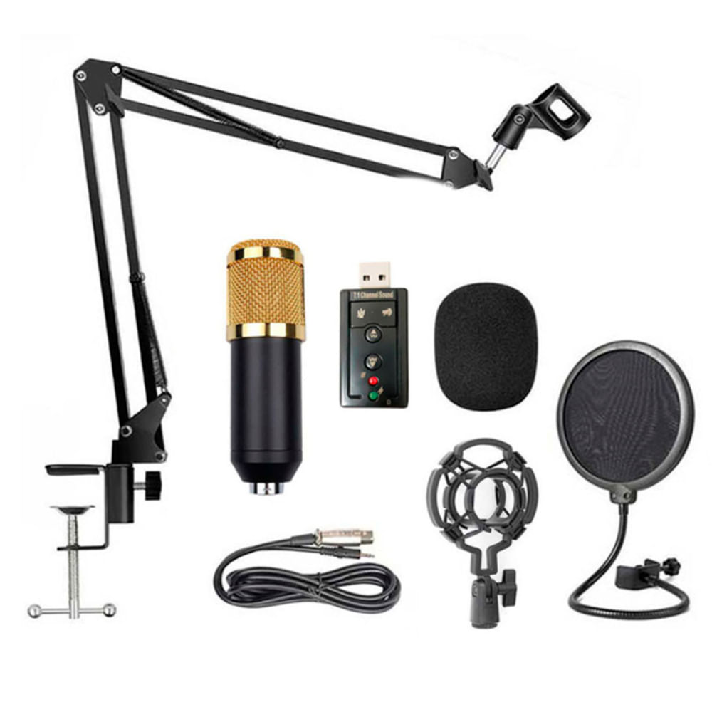 Microfono Condensador Brazo Soporte Bm800 Pc Estudio Antipop Black