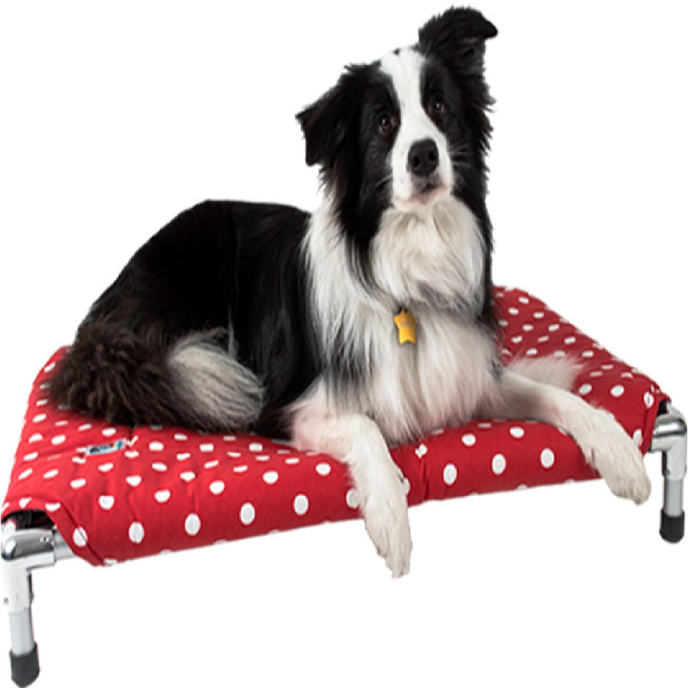 image-95ff34c174684754b8cd7d8865549f10 image-95ff34c174684754b8cd7d8865549f10