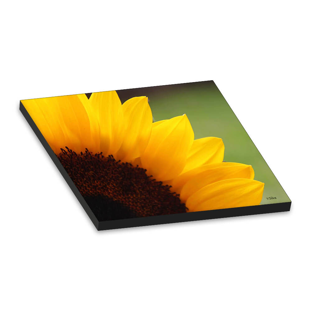 Cuadro Girasol 90x60 Tela en canvas Bastidor - Promart