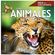 image-d36939ffdaef4f90b99ca540e8bb8034