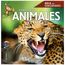 image-d36939ffdaef4f90b99ca540e8bb8034