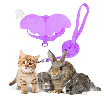 image-bee72827341f46a3b25006fd14d78811 image-bee72827341f46a3b25006fd14d78811