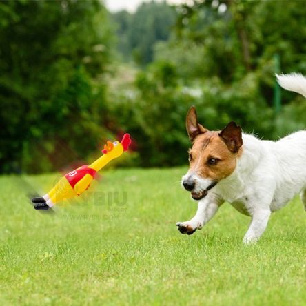 image-1350a7d4f746448db63cb7e5a34fef54 image-1350a7d4f746448db63cb7e5a34fef54