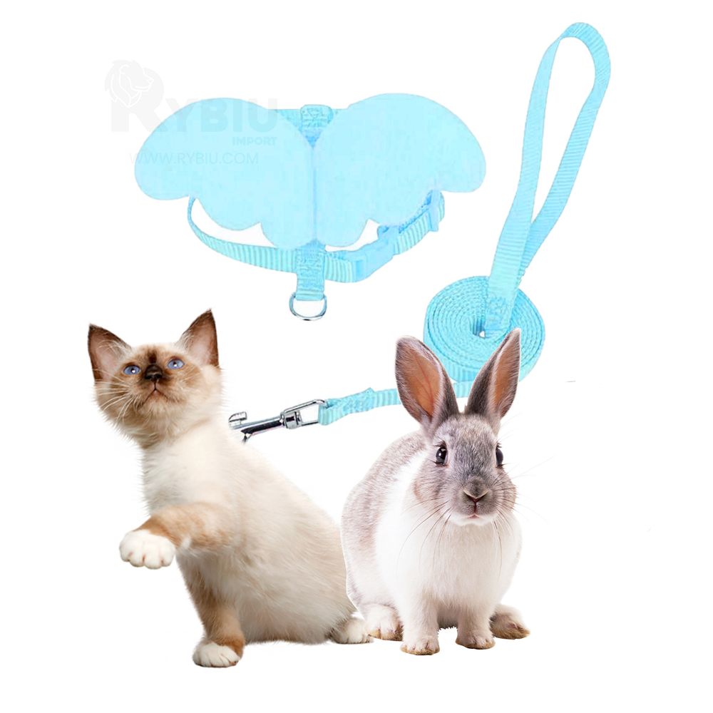 image-bd614f74fda04feebd1631cb8699f449 image-bd614f74fda04feebd1631cb8699f449