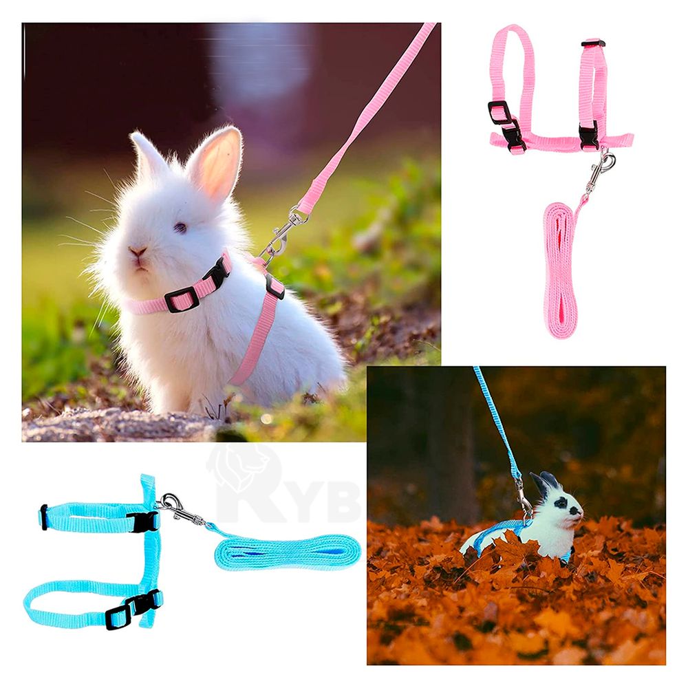 image-5749820c03e042d08e02d817ffe77603 image-5749820c03e042d08e02d817ffe77603