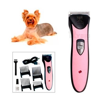 image-a282fe1efd664cfd8dad785f844acca0 image-a282fe1efd664cfd8dad785f844acca0