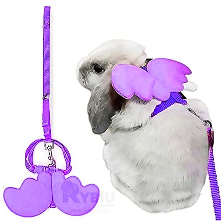 image-94a773cb8dd342528eb5b95dcd5ca252 image-94a773cb8dd342528eb5b95dcd5ca252