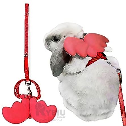 image-1d8ea774a49c4ff7aaa50dff8dc9d10a image-1d8ea774a49c4ff7aaa50dff8dc9d10a