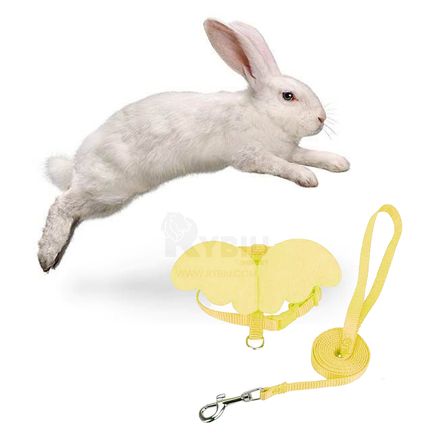 image-f63eab10437e46ad919bb090c4f456c4 image-f63eab10437e46ad919bb090c4f456c4