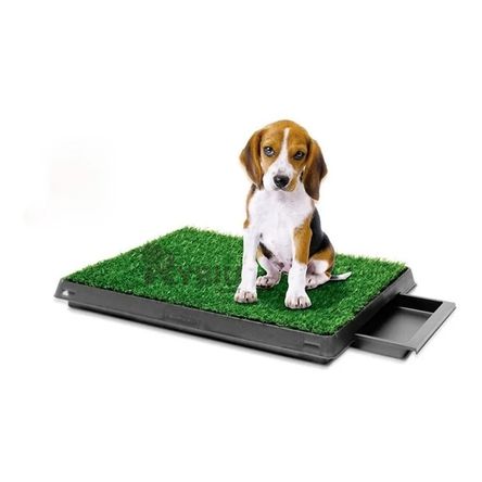 image-0c4de9dde48340ec89329c195a3f4fb7 image-0c4de9dde48340ec89329c195a3f4fb7