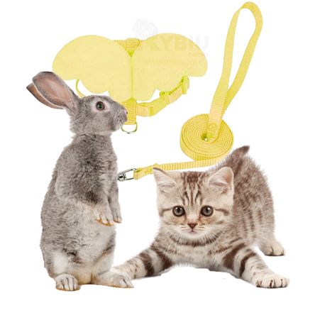 image-4b66f5a9f3bd449a9ccad3f1b3e3ffda image-4b66f5a9f3bd449a9ccad3f1b3e3ffda