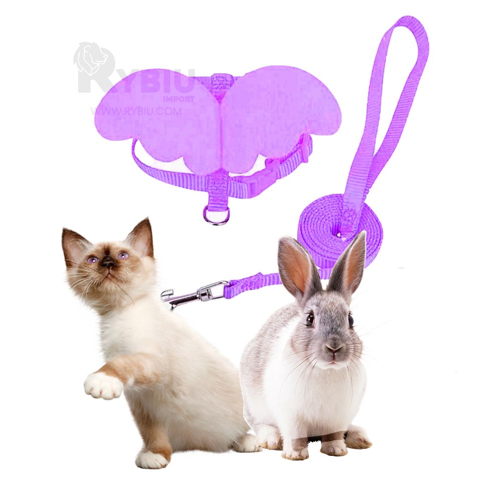 image-8f648b5465494aa18700c3bc298addaa image-8f648b5465494aa18700c3bc298addaa