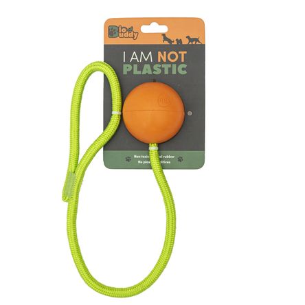 image-19cc7bd0020742aaa685382f0e73f350 image-19cc7bd0020742aaa685382f0e73f350