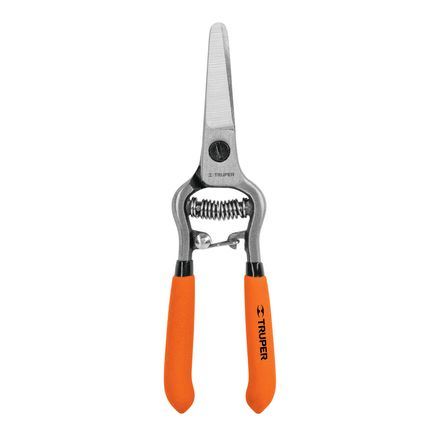 image-72213f111b754e648d74ed0eb44f80e0 image-72213f111b754e648d74ed0eb44f80e0