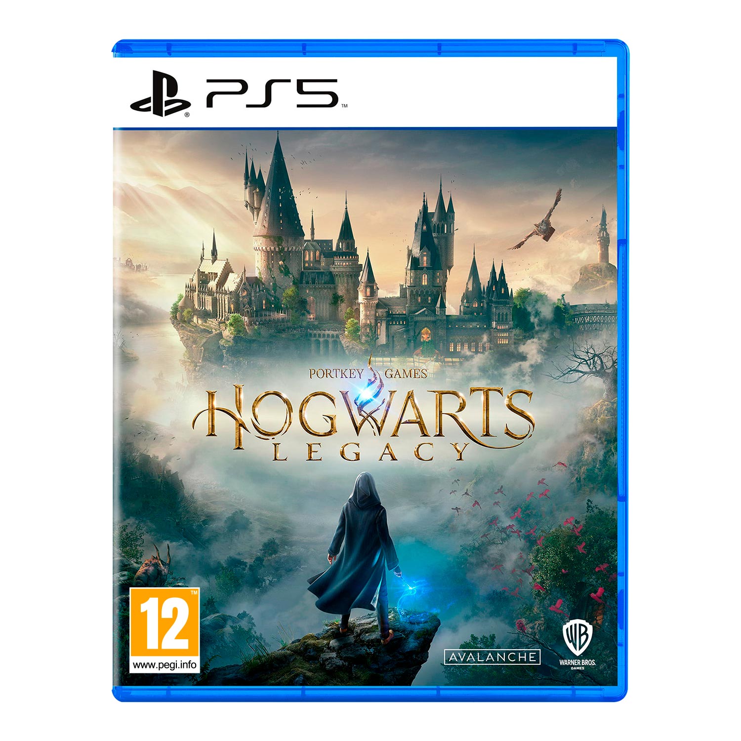 Hogwarts Legacy Playstation 5 Euro