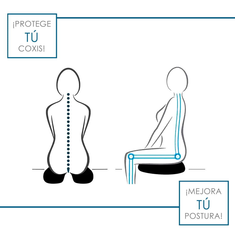 Cojín Coxis Memory Foam Teraflex 47x42x5cm