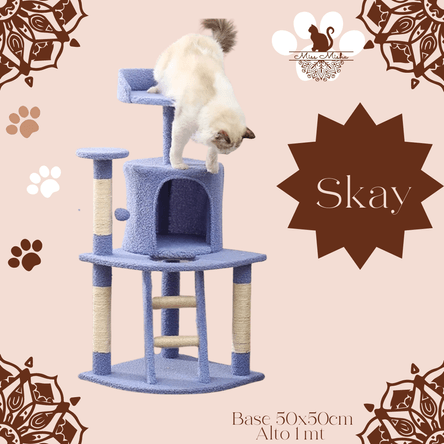 image-a8139f0a7e5641cf97a11687521b0eb8 image-a8139f0a7e5641cf97a11687521b0eb8