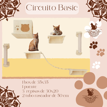 image-c1aa04a930824de19bb945d8110e3922 image-c1aa04a930824de19bb945d8110e3922