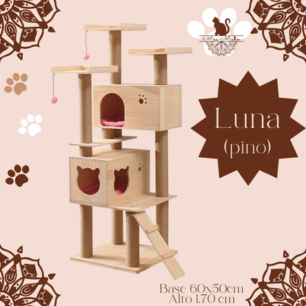 image-89cd92d4bd7e4793bd72d5bb836e3a10 image-89cd92d4bd7e4793bd72d5bb836e3a10