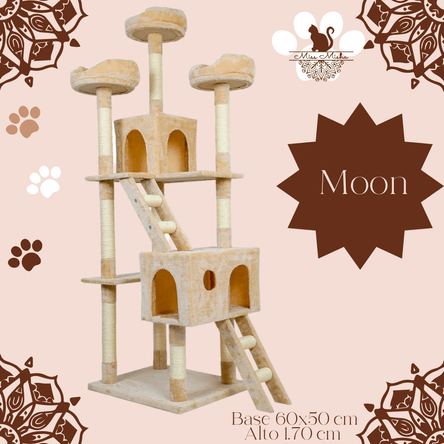 image-69b168f686844c278553b8ad0b2fbd44 image-69b168f686844c278553b8ad0b2fbd44