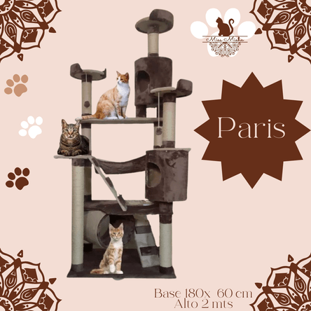 image-9abbb1d7341e47ef94766068f3b59af7 image-9abbb1d7341e47ef94766068f3b59af7