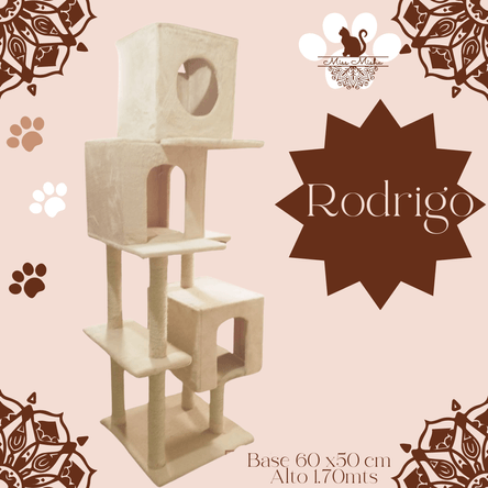 image-301cb7c45bcf404fae09f4bc7fff7252 image-301cb7c45bcf404fae09f4bc7fff7252