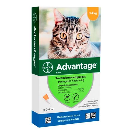 image-b8f0ff90b2674fc8b2f597967ebb4af1 image-b8f0ff90b2674fc8b2f597967ebb4af1