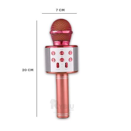 Microfono Rosa Altavoz Inalambrico RYBIU IMPORT