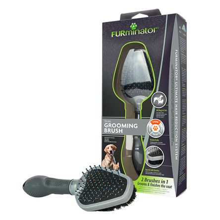 image-2e94e009ff2b4943a93017cb2b18b271 image-2e94e009ff2b4943a93017cb2b18b271