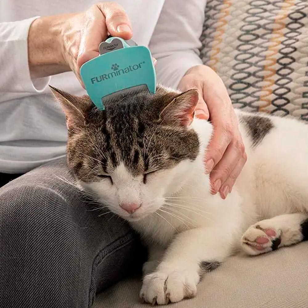 Rastrillo Eliminador De Pelo Furminator Para Perros Y Gatos