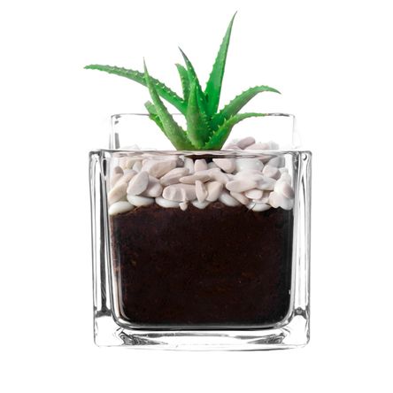 image-f75632345b364a97ab1e03ca1127509d image-f75632345b364a97ab1e03ca1127509d