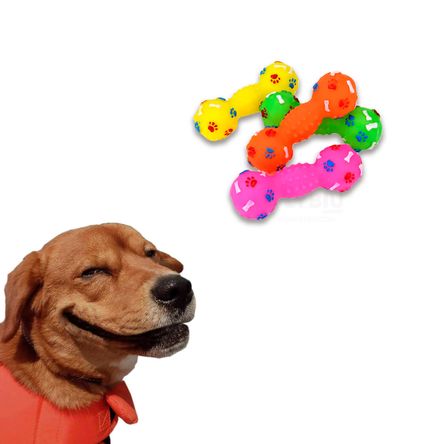 Pack 4 - Juguete para Perros Mayores Colores Aleatorio