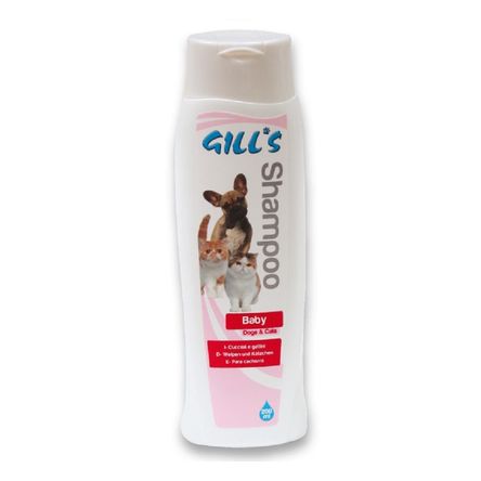 image-2a560eeb08f841858182270c79febd24 image-2a560eeb08f841858182270c79febd24