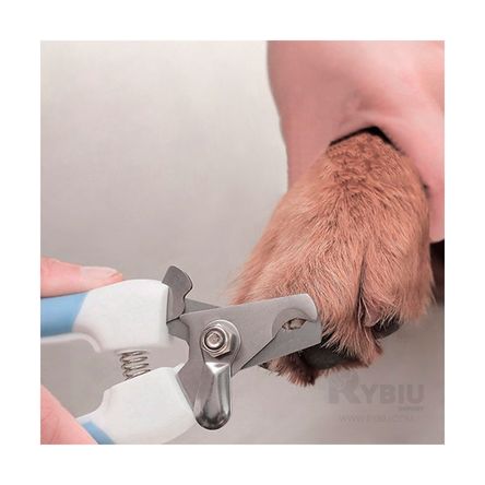 Cortauñas Azul Grande Facil de Usar Cortauñas Azul Grande Facil de Usar