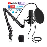 Micrófono Condensador USB Económico con Brazo soporte Anti Pop PC