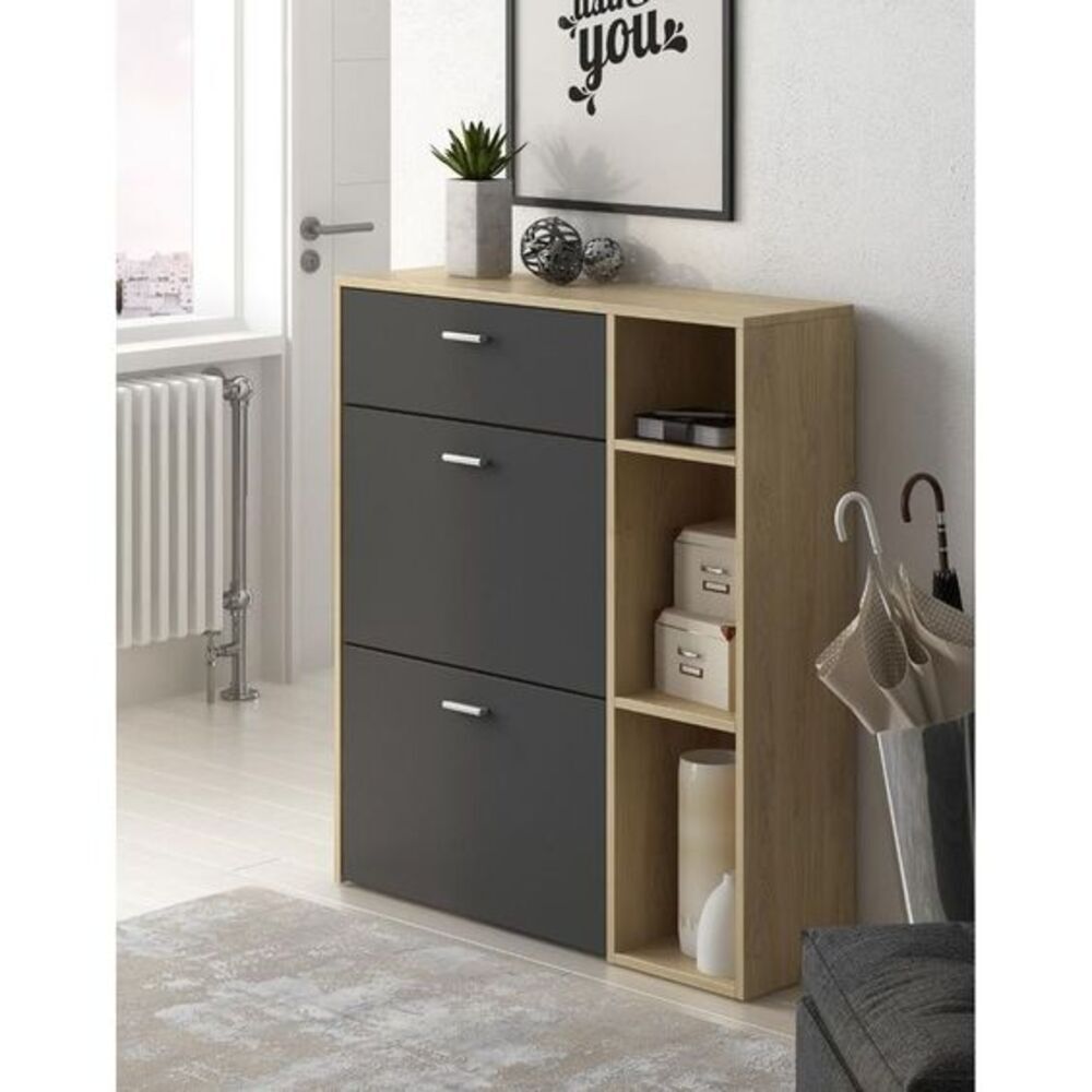 Zapatera R&R MUEBLES Moderna Paola con Estantes