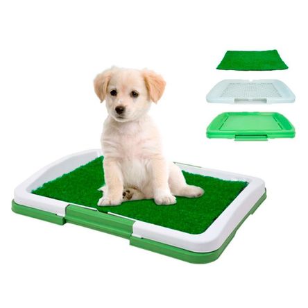 image-7be6fb2117d84178b4b4ee01a146ed3f image-7be6fb2117d84178b4b4ee01a146ed3f