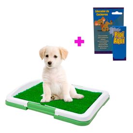 image-1022c9513dc7412caa59d9820e51f038