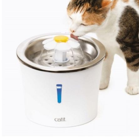 image-df981866cb6e4ab0b7cd7180316d51c8 image-df981866cb6e4ab0b7cd7180316d51c8