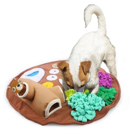 image-c2c3ec968ccb49dabffec02299d3b7dd image-c2c3ec968ccb49dabffec02299d3b7dd