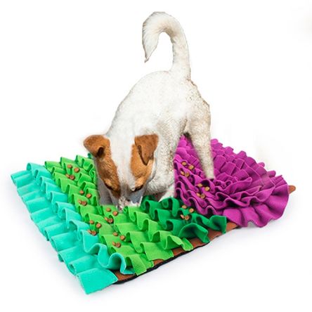 image-93fca5000af040a88d22d2a821255f33 image-93fca5000af040a88d22d2a821255f33