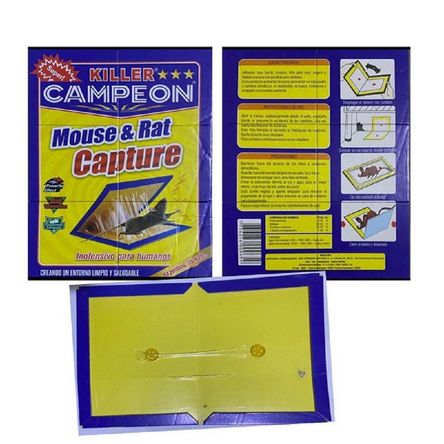 image-eaab84ca735045c8a0fc55a8a3429e45 image-eaab84ca735045c8a0fc55a8a3429e45