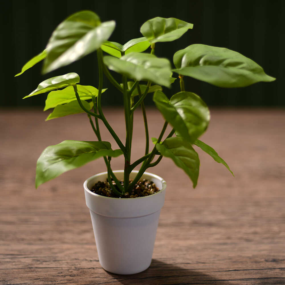 Planta Artificial con Maceta Kentia Exotic 30cm Orange - Promart