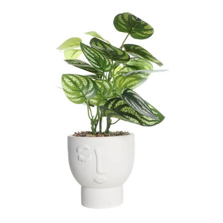 image-5a26c082914f4e49bc470d3eb7908d1e image-5a26c082914f4e49bc470d3eb7908d1e