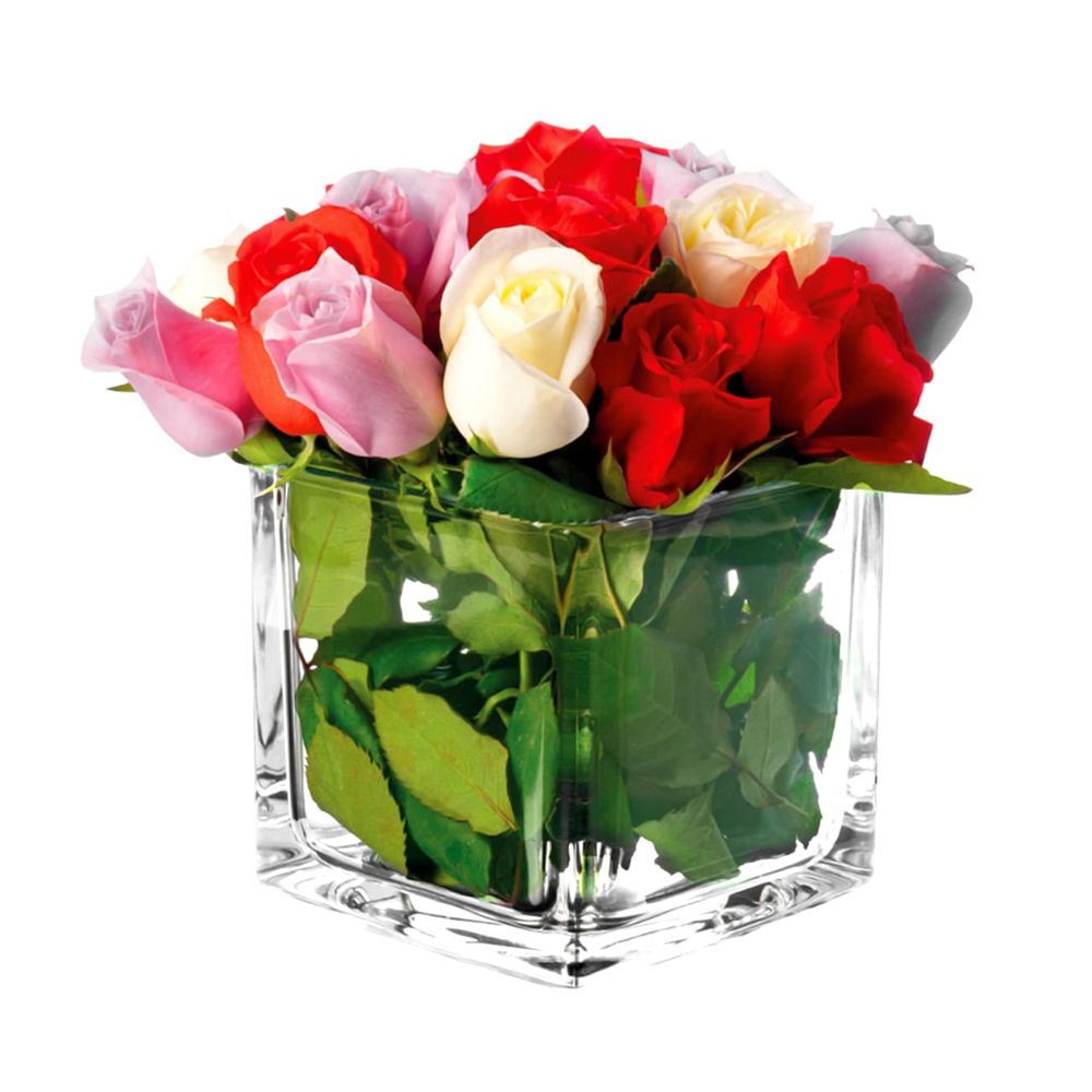 image-8eff8e5561054619a764fb7f0989a598 image-8eff8e5561054619a764fb7f0989a598